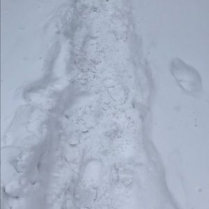 Meet your Posher, Eddie